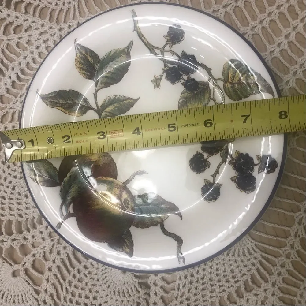 Pier 1  Macintosh Italy Salad Desert Apple Blackberry Pattern Set of 5